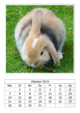 Oktober_Kaninchen_2.pdf